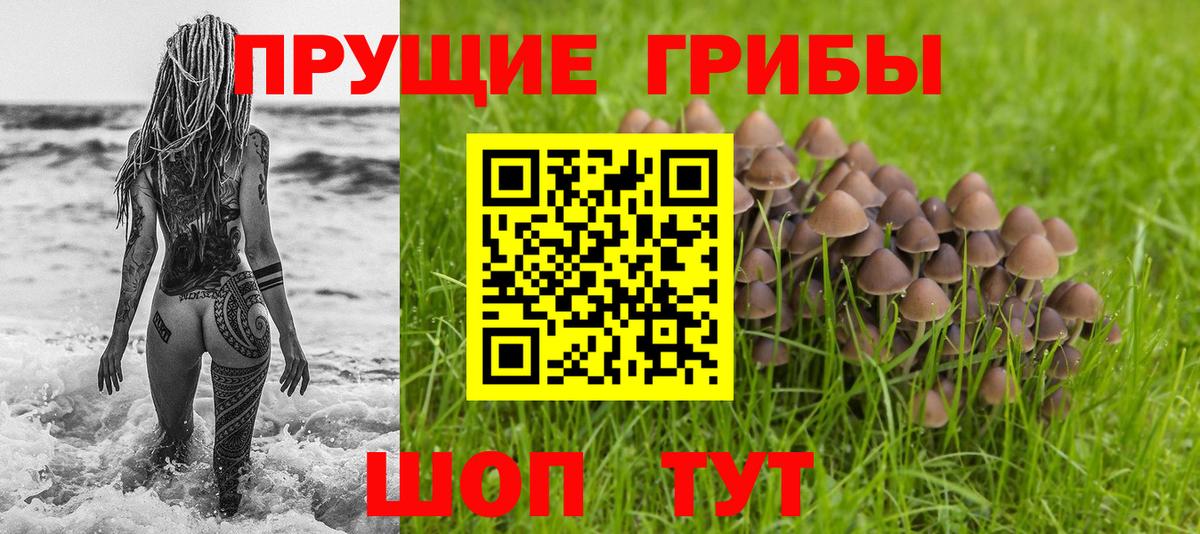 Киреевск  Псилоцибиновые грибы прущие грибы  Вход с VPN 